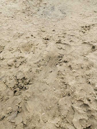 The sand is yellow and wet and a bit dirty