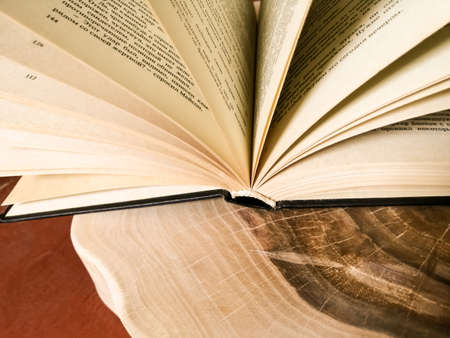 On a wooden board lies an open bookの写真素材