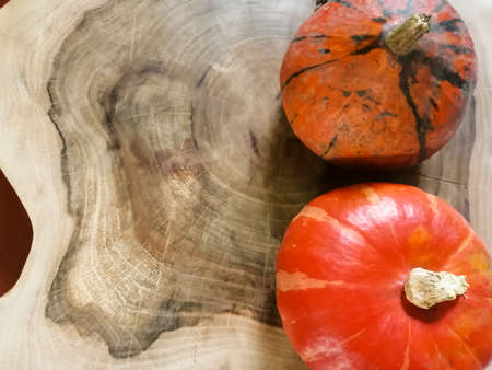On a wooden board two decorative pumpkinsの写真素材