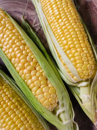 Three heads of corn on a wooden boardの写真素材