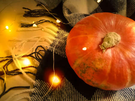 On the scarf in a cage lies a mini-pumpkin, autumn decorの写真素材