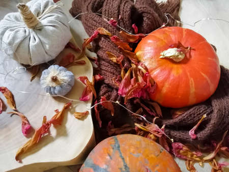 Decoration of the house from pumpkins from the garden and made with their own handsの写真素材
