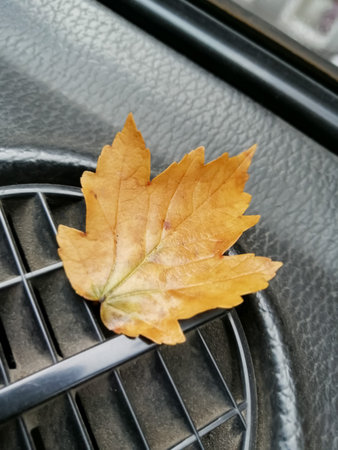 Against the background of the dark panel of the machine, a bright autumn maple leaf
