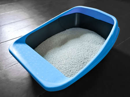Large cat litter box with benton fillerの写真素材