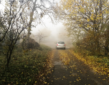 The car drives into the fog. Around autumn, yellow trees.の写真素材