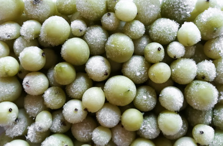 Background photo - berries in the other. Frozen gooseberries.の写真素材