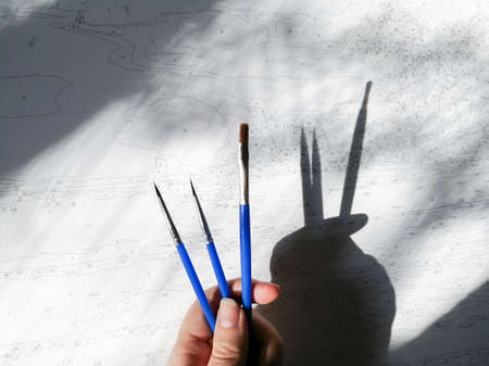 In a woman's hand, blue brushes for drawing cast a shadow on the canvas with the drawing by numbers. The shadow is out of focus. Bright shadow. Start drawing.の写真素材