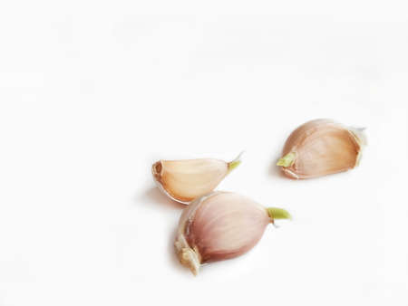 Sprouted garlic with green sprouts on a white background. Sprouted garlic for planting. Three cloves of garlic with green sprouts.の写真素材