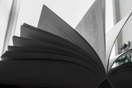 Part of the open book. Leaves in the light. Photos in gray shades. An open book on the windowsill. The leaves of the book stick out in all directions.の写真素材