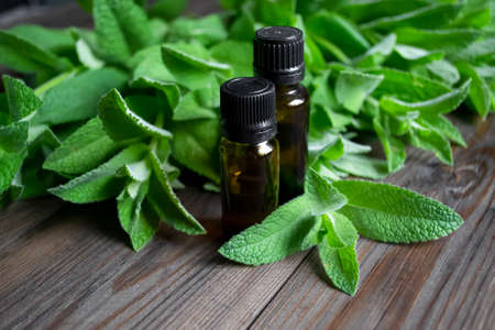 Mint leaves on a wooden table with two dark bottles. two bottles of ether oil. Aromatic oil in butylochki. Yefir minti.の写真素材