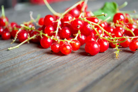Red somrodina on a wooden table. Red currant berries on sprigs of green. Harvested harvest of red smolooride. Currants on a wooden table.の写真素材