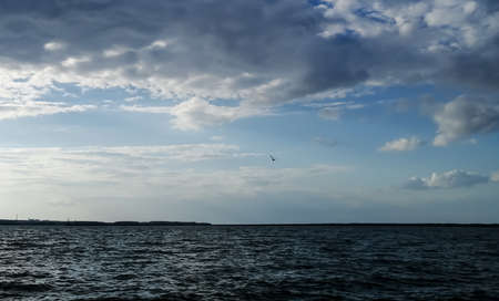 big river. view of the river. Beautiful horizon between the river and the sky. A bird in the sky above the river. A seagull catches fish.の写真素材