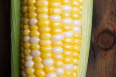 Macro photography of corn grains. A cob of corn nearby. Yellow and white corn grains of Raquel...
