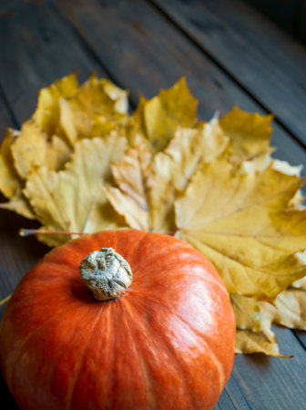 autumn decorations for the house. Hokkaido orange pumpkin on a wooden table among the leaves. next to the autumn leaves lies a small, orange pumpkin.の写真素材