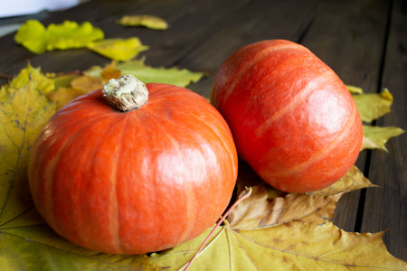 Two pumpkins stand side by side on a wooden table. wooden table and autumn decorations - pumpkins and fallen leaves. one pumpkin rests on top of another. pumpkin among maple leaves.の写真素材