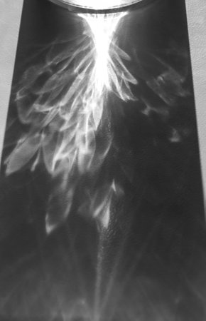 Drawing on the table from a glass of water. Abstract drawing from water and sunlight. Beautiful,...