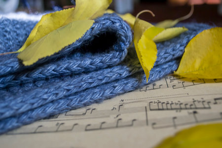 A blue scarf next to the yellow leaves and a music notebook. On the notebook with musical notes lies...