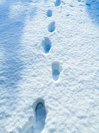 Footprints in the snow. Shoe marks on the white snow. In the snowdrifts there is a path of footprints.の写真素材