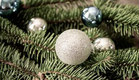 Photo in muted, gray shades. Gray and blue toys on the Christmas tree. Festive decorations on the branches of spruce. Glass toys on the Christmas tree.の写真素材