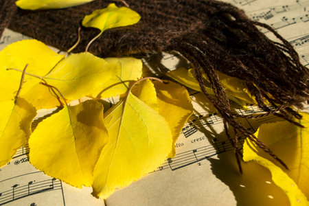 A brown scarf next to the yellow leaves and a music notebook. Autumn composition - scarf, autumn...