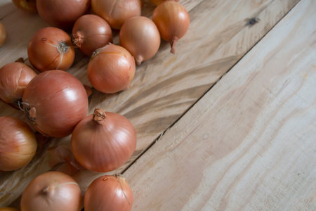 A lot of onions are on a wooden table. Stocks of onions. Onion heads on the table. Wooden boards with onions.の写真素材