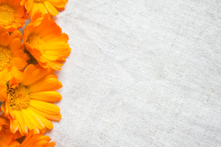 Marigold flowers on linen fabric. Calendula flowers on a light tablecloth. orange buds lie on a light fabric background.の写真素材