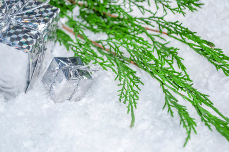 On the white snow is a green branch of pine needles and Christmas gifts. christmas composition. Christmas and New Year's Day.の写真素材
