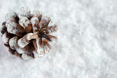 A Christmas cone in the snow. Decoration for Christmas and New Year - a cone painted with white paint on the snow.の写真素材
