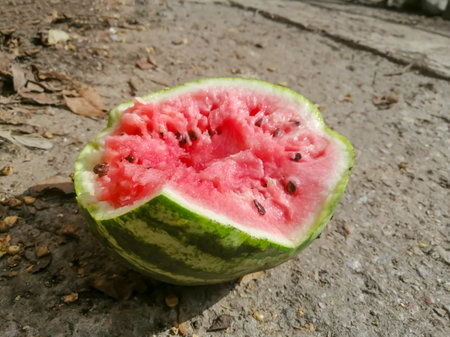A broken watermelon on the ground. Half a ripe watermelon lies on the road. A red watermelon fell.の写真素材