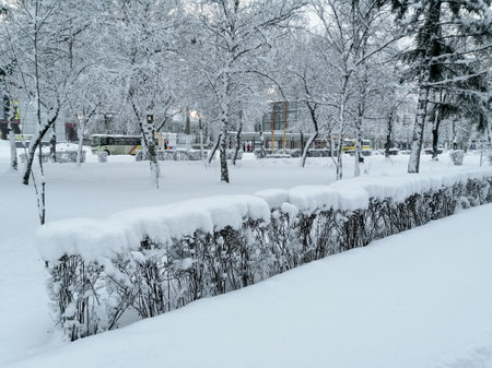 Winter in the city park. snowy winter. A lot of snow fell in the city. The trees are in the snow and the ground is covered in white.の写真素材