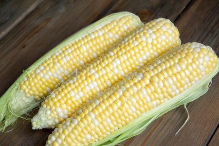 Three cobs of corn lie on a wooden table. Corn with yellow and white grains on the cob on the table....