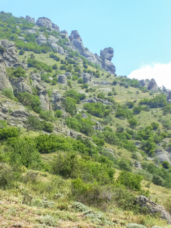 At the foot of the mountain. A view of Mount Snigou. A rocky mountain with green trees against a blue sky.の写真素材