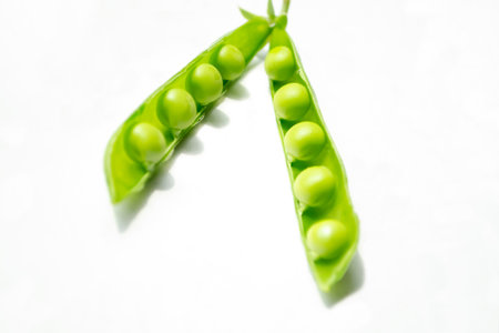 Green pea pods with young beans. Green peas on the table. On a white background is an open pod of green peas.の写真素材