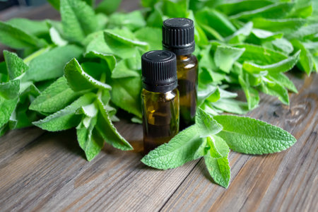 Two dark bottles lie on the leaves of lemon balm. On the mint are bottles of aromatic oil. Dark bottles with aromatic lemon balm oil.の写真素材
