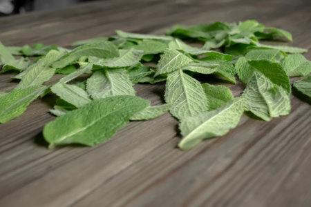 Mint leaves on a wooden table. The severed leaves of lemon balm lie together. lots of mint leaves on the table.の写真素材