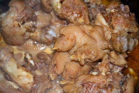Stewed pork legs. A dish of pork legs. Appetizer of stewed pork legs in sauce.の写真素材