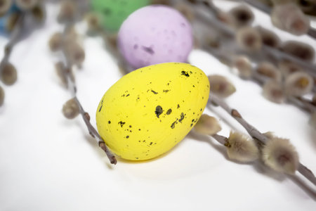 Colored eggs lie next to willow branches on a white background. Festive decor for Easter with quail eggs, Among the willow branches lie painted eggs for Easter.の写真素材