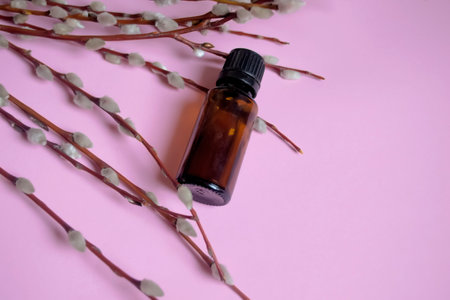 On a pink background, next to willow branches with soft buds lies a bottle of aromatic oil. goat willow oil for spa treatments. Aromatic oil next to willow branches.の写真素材
