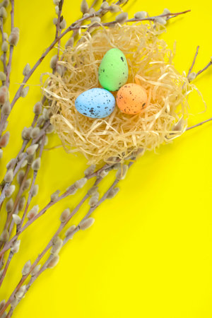 On a yellow background are willow branches, a nest with colored eggs. The composition for Easter is a nest with colored eggs and willow branches. Colored easter eggs in the nest.の写真素材