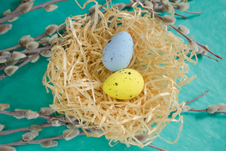 Colored eggs in a nest among the branches at Easter. The composition for PAscha is quail eggs in the nest. Among the branches of the willow is a nest with colored eggs.の写真素材