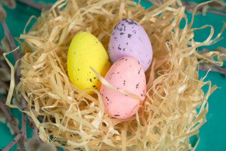 Colored eggs in a nest among the branches at Easter. Among the branches of the willow is a nest with colored eggs. The composition for PAscha is quail eggs in the nest.の写真素材