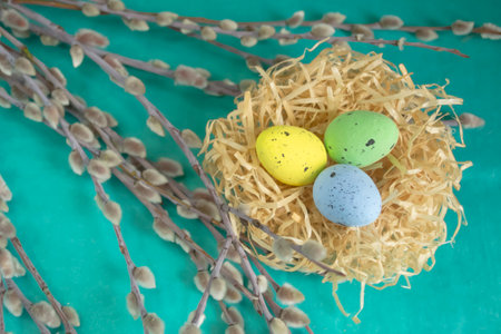 Colored eggs in a nest among the branches at Easter. The composition for PAscha is quail eggs in the nest. Among the branches of the willow is a nest with colored eggs.の写真素材