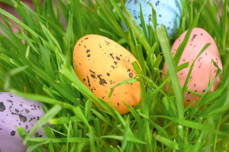 Easter eggs in the grass. In the green grass lie painted eggs for Easter. Festive traditions. search for eggs in the grass at Easter.の写真素材