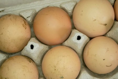LOtok with eggs. An open tray with dirty eggs. Lots of dirty eggs. Eggs in the mud are not washed.の写真素材