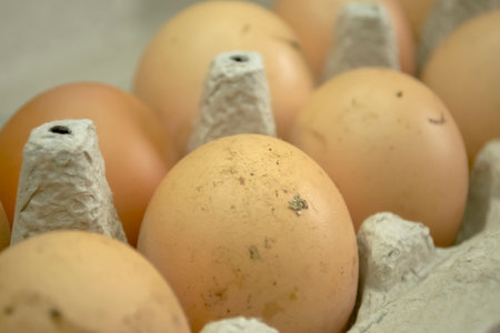 LOtok with eggs. An open tray with dirty eggs. eggs in the mud are not washed. Yellow domestic eggs.の写真素材