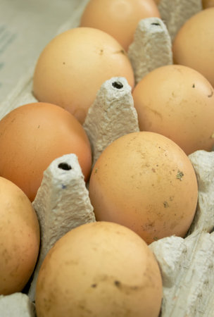 LOtok with eggs. An open tray with dirty eggs. eggs in the mud are not washed. Yellow domestic eggs.の写真素材
