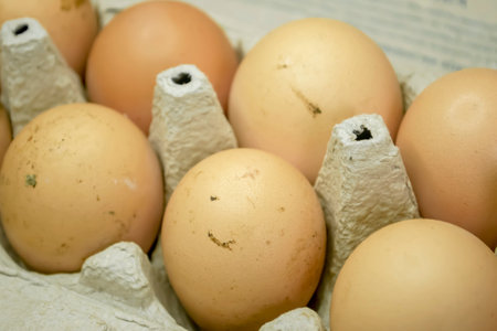 LOtok with eggs. An open tray with dirty eggs. Lots of dirty eggs. Eggs in the mud are not washed.の写真素材