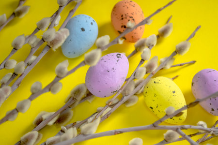 The composition for Easter - painted eggs, willow and a bright background. On a yellow background lie colored quail eggs and willow branches.の写真素材