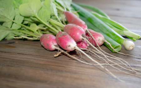 on a wooden table is a bunch of radishes and green onions. spring vitamins - radishes and green onions. fresh vegetables and greens from the garden on the table.の写真素材