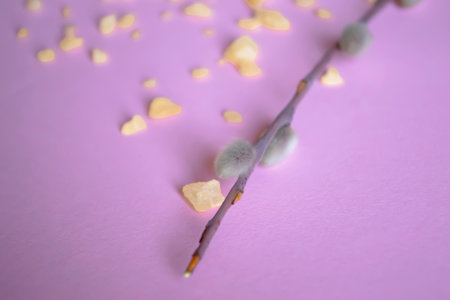 On a pink background lies a willow branch and sea salt. Orange crystals next to the soft buds of the willow on a pink background. Delicate pastel background and willow.の写真素材